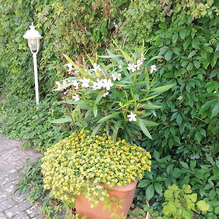 Pension Haus Anneliese Uckeritz Luaran gambar