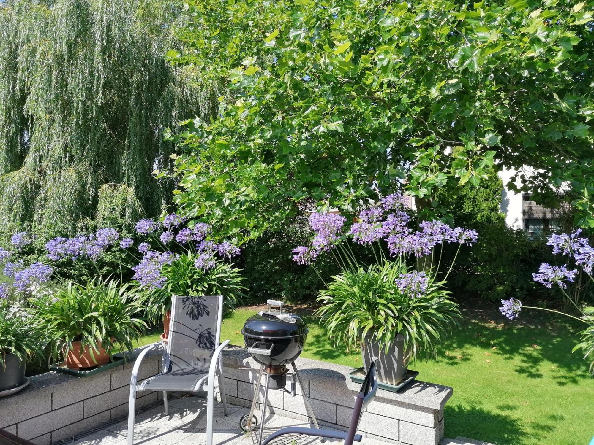 Pension Haus Anneliese Uckeritz Luaran gambar
