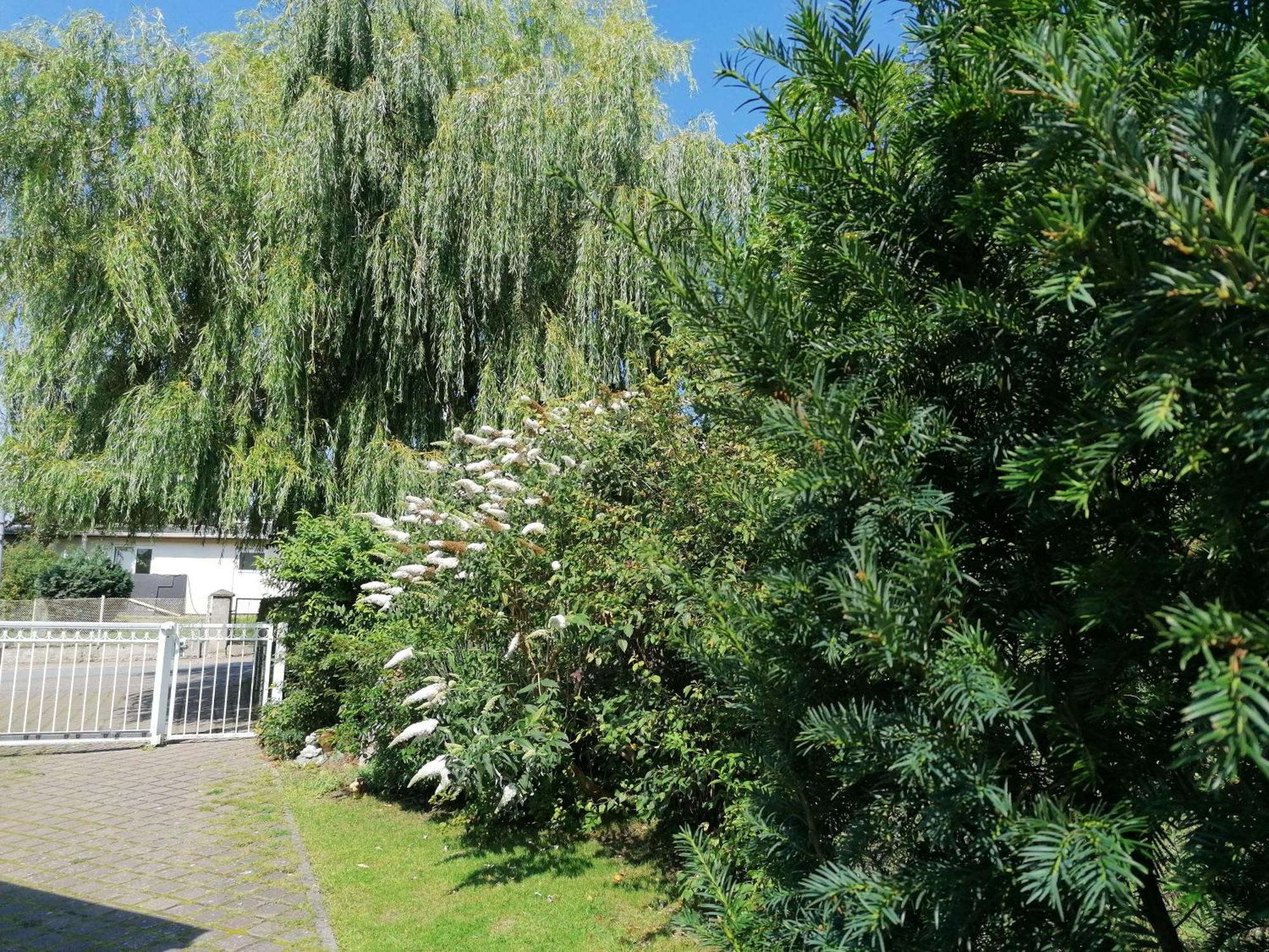 Pension Haus Anneliese Uckeritz Luaran gambar