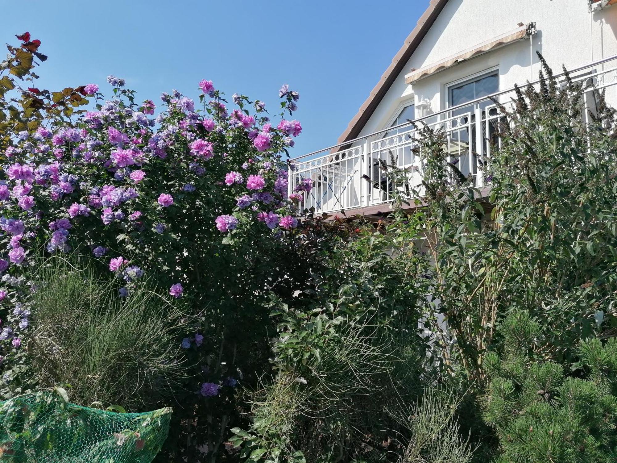 Pension Haus Anneliese Uckeritz Luaran gambar