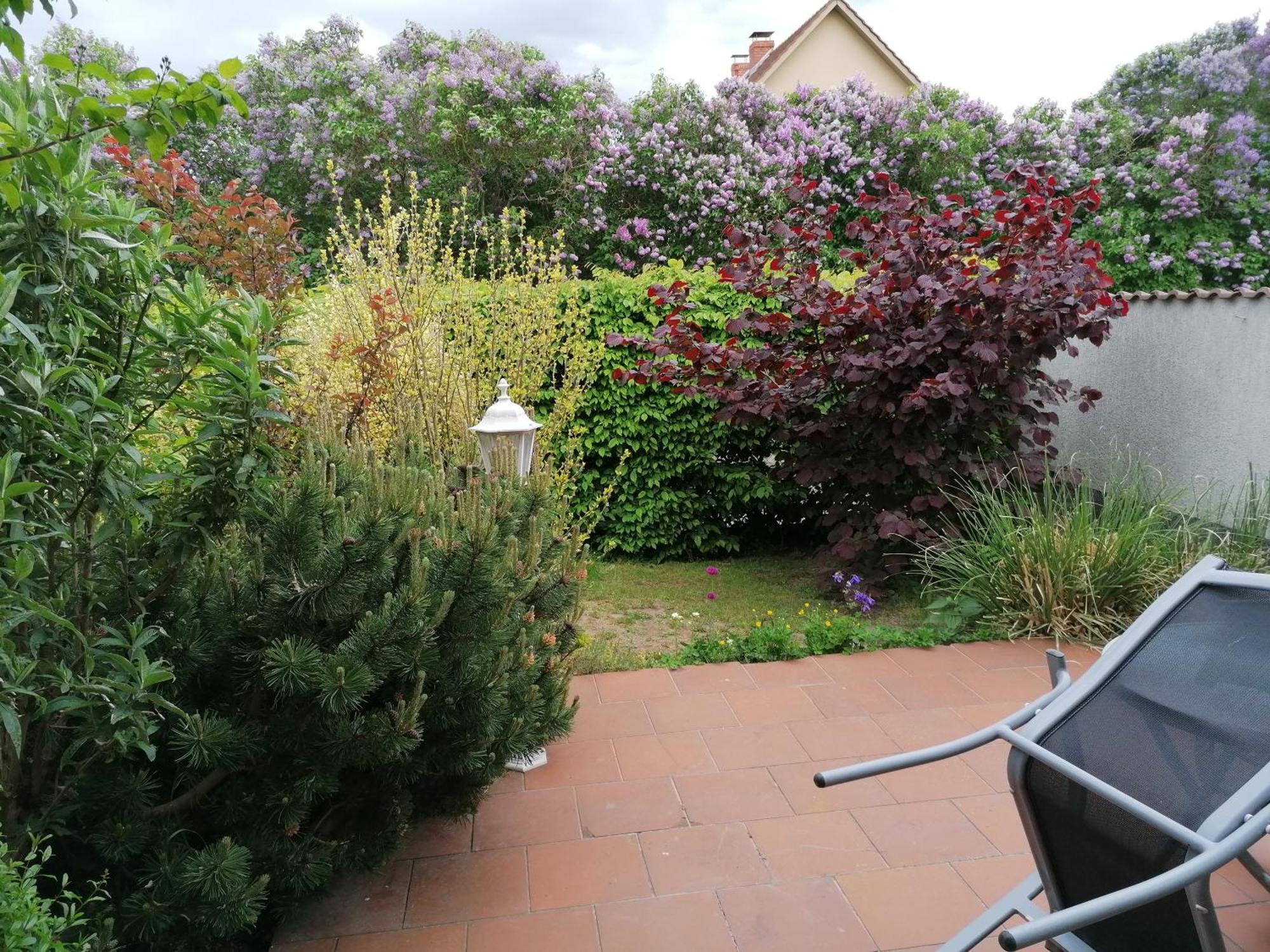 Pension Haus Anneliese Uckeritz Luaran gambar